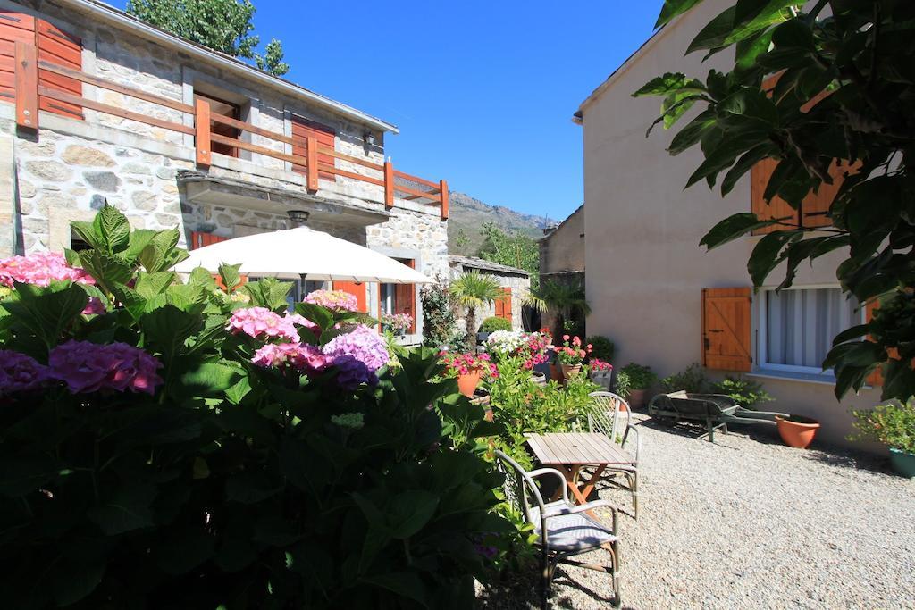 A Mandria, Appartements Avec Cuisine 30M2, Patio, Vue Montagnes Et Citadelle, 5 Minutes A Pied Du Centre Ville Et Des Rivieres Amantea Exterior foto