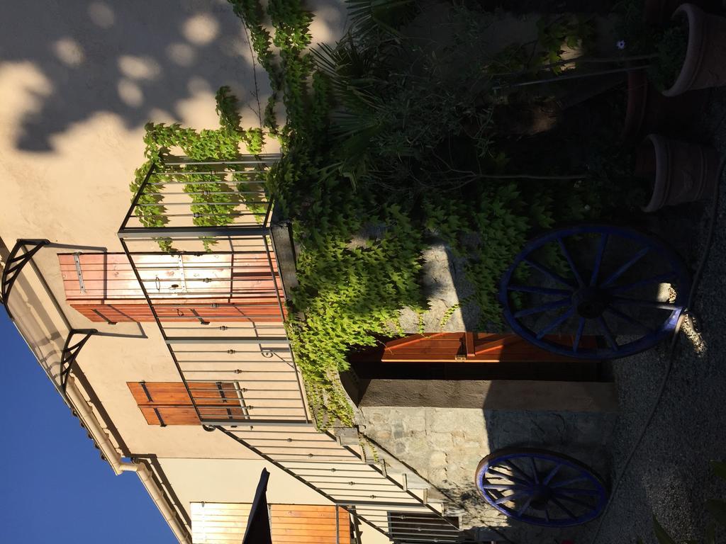 A Mandria, Appartements Avec Cuisine 30M2, Patio, Vue Montagnes Et Citadelle, 5 Minutes A Pied Du Centre Ville Et Des Rivieres Amantea Exterior foto
