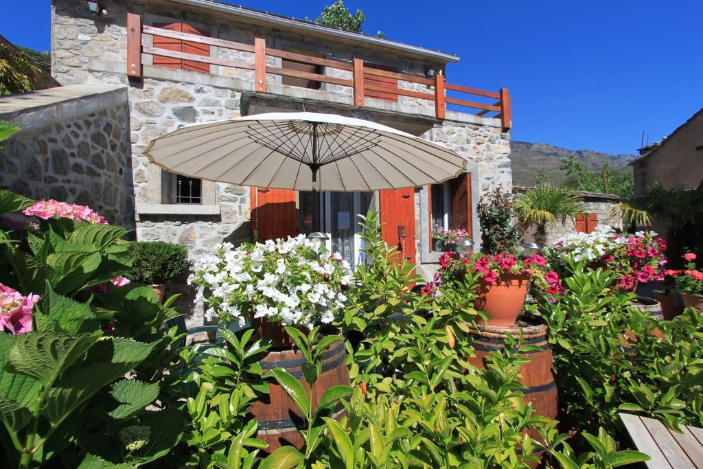 A Mandria, Appartements Avec Cuisine 30M2, Patio, Vue Montagnes Et Citadelle, 5 Minutes A Pied Du Centre Ville Et Des Rivieres Amantea Exterior foto